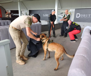 Psy służbowe, szkolenia i strefa pierwszej pomocy. Trwa drugi dzień CERBERUS K9 w Ostrowie