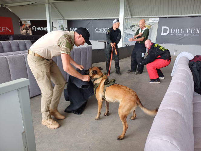 Psy służbowe, szkolenia i strefa pierwszej pomocy. Trwa drugi dzień CERBERUS K9 w Ostrowie