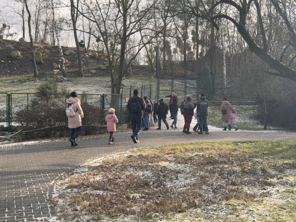Czy warto jechać do ZOO Wrocław zimą?