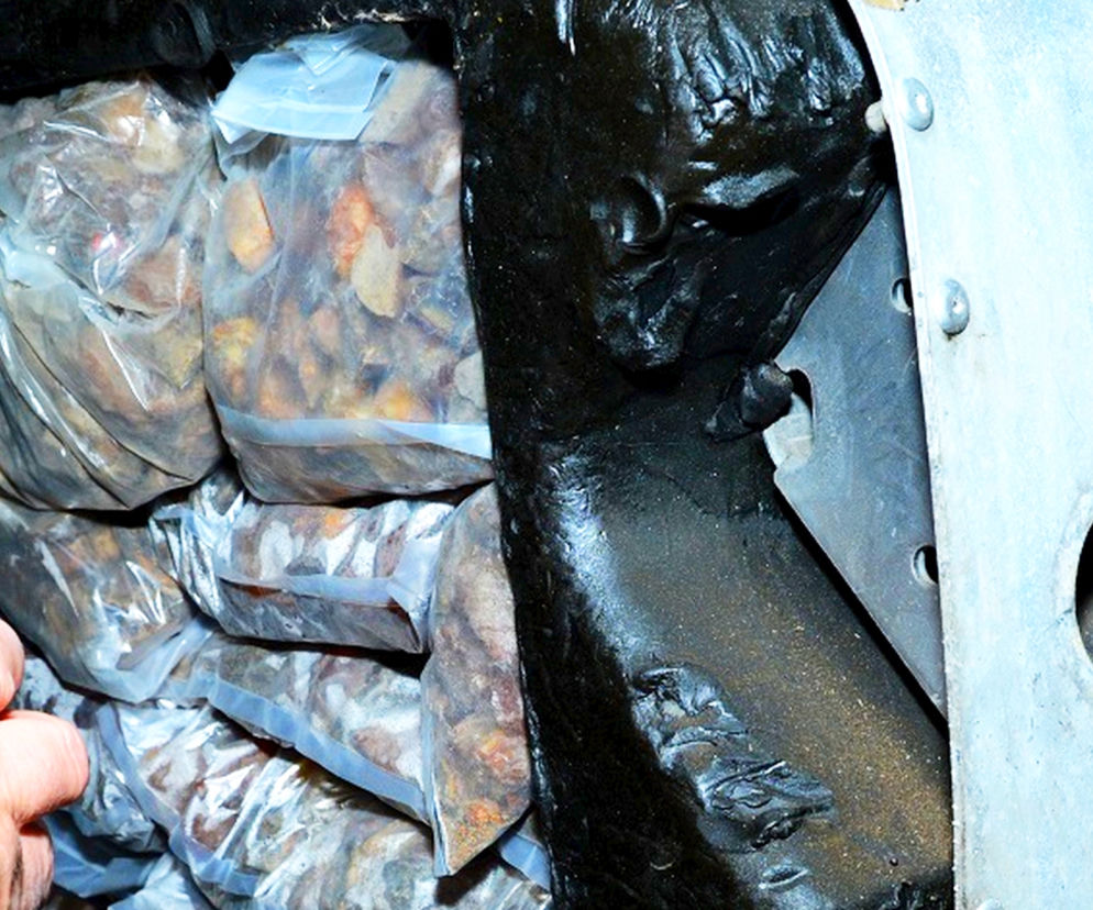 Próba przemytu bursztynu na granicy w Korczowej