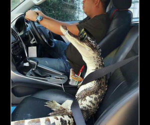 Tych memów o teściowych nie pokażesz mamie! Internauci nie mają litości