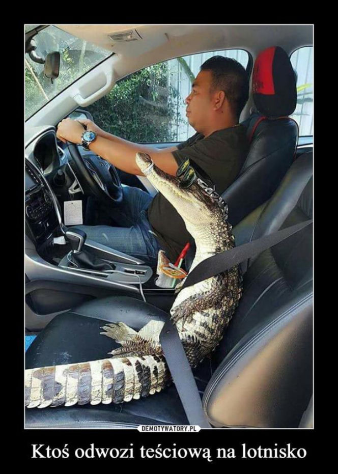 Tych memów o teściowych nie pokażesz mamie! Internauci nie mają litości