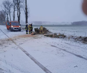 Wichury nad Polską
