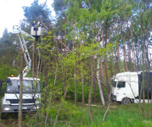 Wypadek na DK 10 w Solcu Kujawskim! Ciężarówka wypadła z drogi i uderzyła w drzewa [ZDJĘCIA]