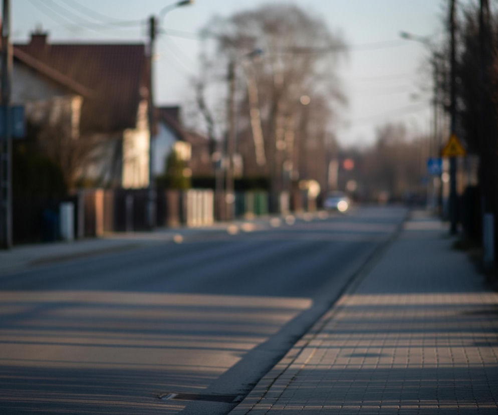 Długa asfaltowa ulica rozciąga się w głąb obrazu, z lewej strony widoczny jest chodnik wyłożony jasnymi, prostokątnymi płytami. Wzdłuż ulicy stoją domy z dachami pokrytymi czerwoną dachówką, otoczone ogrodzeniami i drzewami, tworząc aleję. Na prawym planie, obok chodnika, rośnie ciemny żywopłot lub krzew, a za nim widać słup, do którego przymocowana jest lampa uliczna. Słońce rzuca długie cienie, biegnące prostopadle do ulicy, tworząc regularne pasy na asfalcie i chodniku.