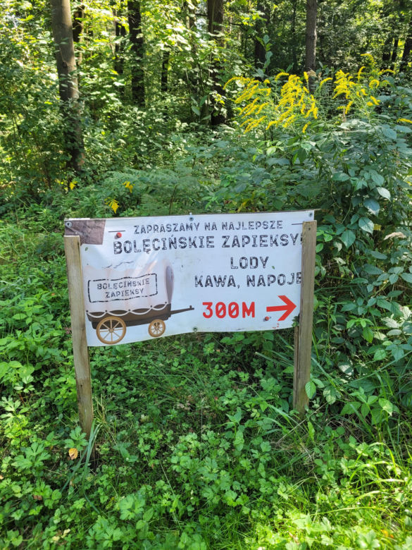 Prastara Puszcza Dulowska w Małopolsce. Spotkasz tam nawet łosie! 