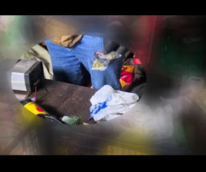 Szron wywęszył narkotyki