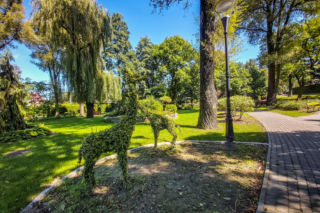 Życie w harmonii z naturą i komfort w jednym. Oto najlepsza wieś w Ślaśkiem