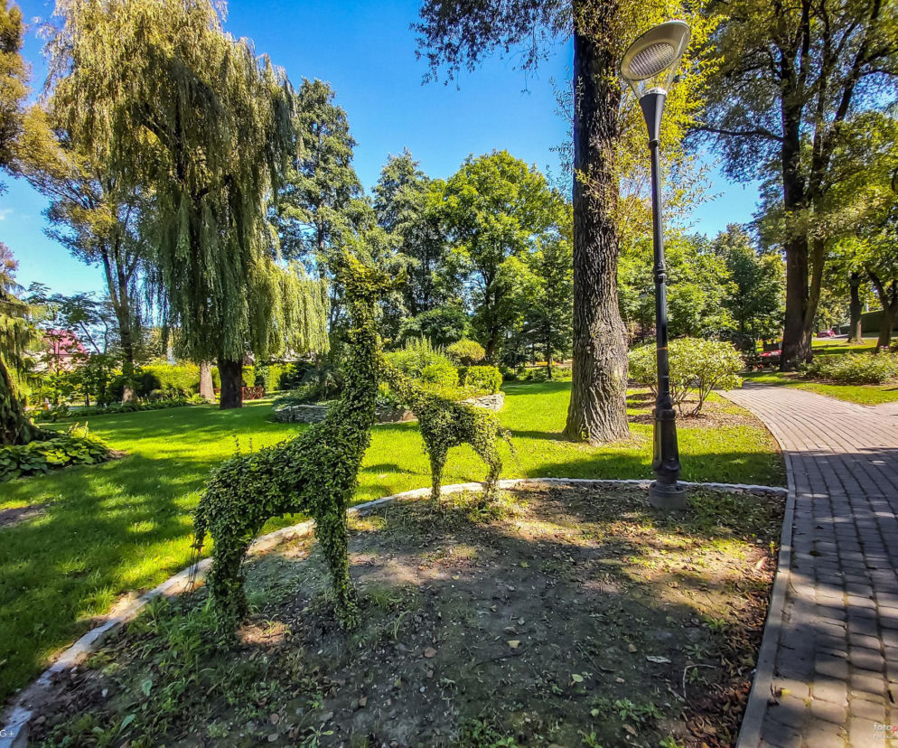 Życie w harmonii z naturą i komfort w jednym. Oto najlepsza wieś w Ślaśkiem