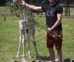 Marcin Gortat