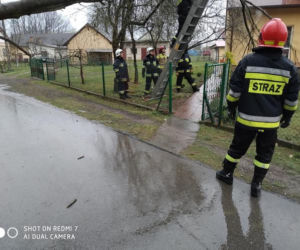 Poniedziałek Wielkanocny. Powalone drzewa i ulewy (ZDJĘCIA) 