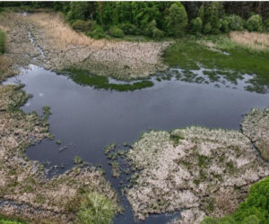 To najmniejszy park krajobrazowy w województwie śląskim. Do niedawna był najmniejszy w Polsce