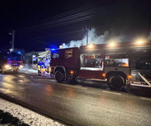 Druh Tymek wyniósł kota z płonącego domu. „Być może nie udałoby się go uratować”