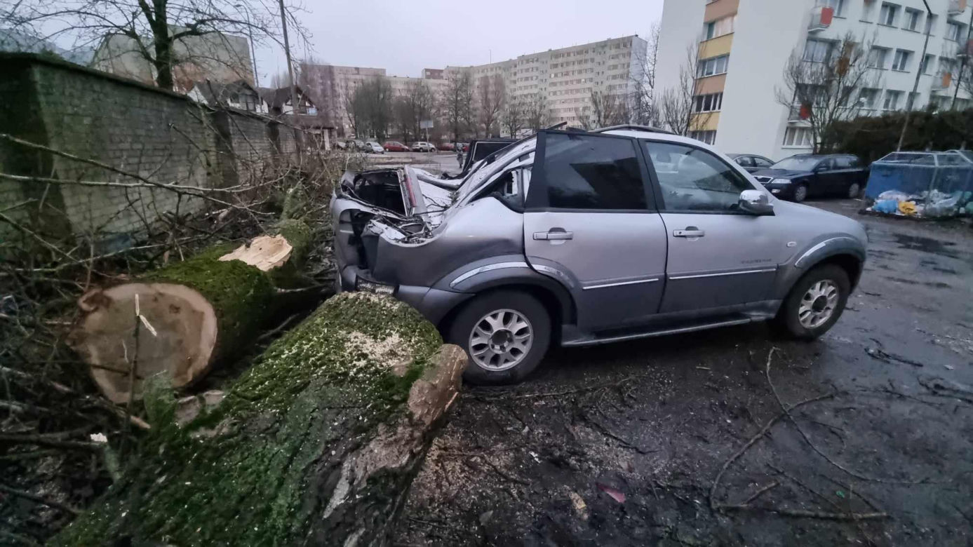 Powalone drzewa uszkodziły zaparkowane samochody