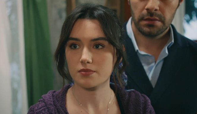 Wichrowe wzgórze odc. 354. Zeynep, Halil