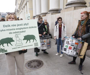 Warszawa. Protest w obronie dzików