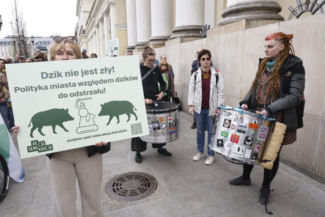 Warszawa. Protest w obronie dzików