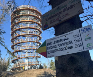 Najwyższa darmowa wieża widokowa w Polsce. Ma 38 metrów i widoki jak z bajki