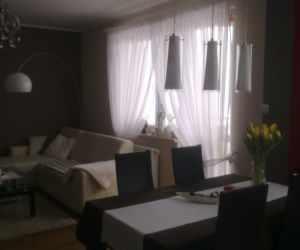 Mój salon z kuchnią zdjecie nr 1