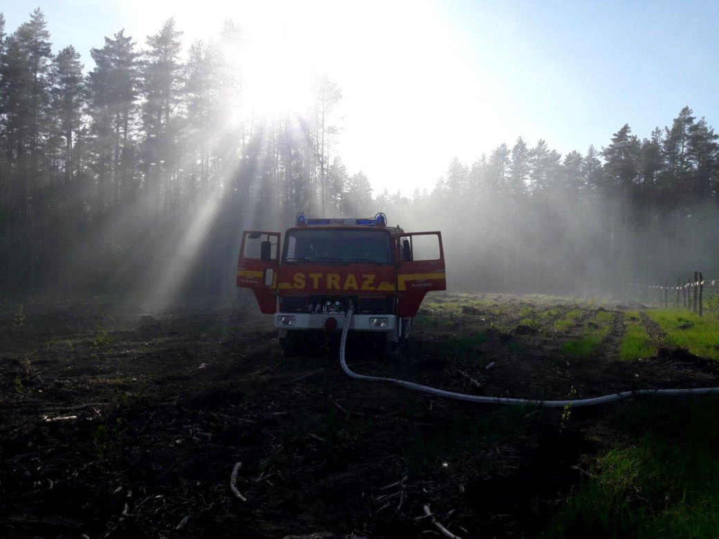 Spłonął las. Leśnicy apelują o rozsądek
