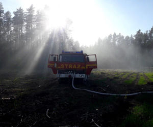 Spłonął las. Leśnicy apelują o rozsądek