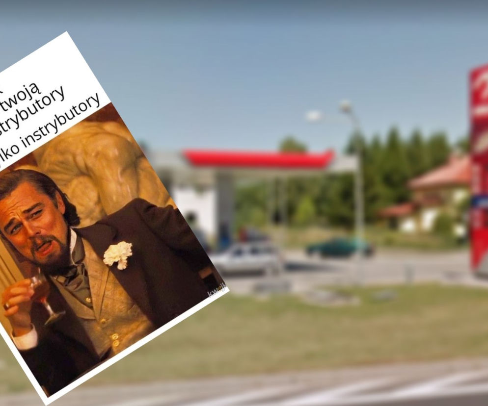Słowo instrybutor od sobotniej nocy pojawiło się w dziesiątkach memów