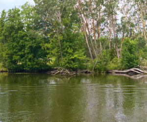 Tramwaj wodny Szczecin - Mescherin - Gartz