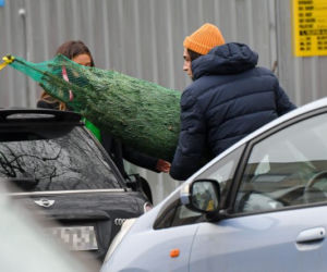 Julia Wieniawa i Nikodem Rozbicki kupili choinkę