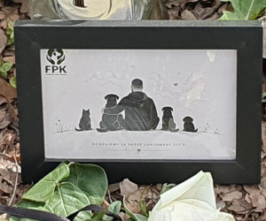 Miejsce wypadku Łukasza Litewki