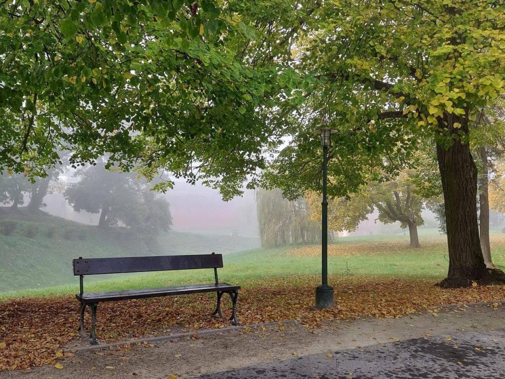 Zamojski Park jesienią