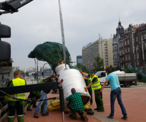 Palmy wróciły na rynek w Katowicach