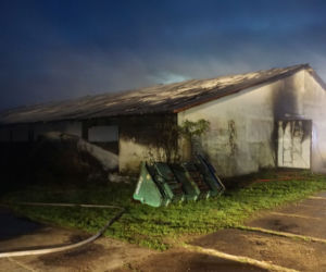 Krzywiec. Pożar kompleksu kurników. Padło 20 tys. sztuk perliczek