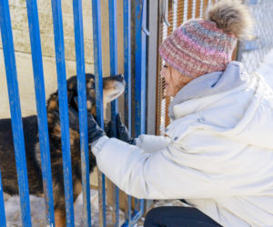Marta Krupa z pomocą dla zwierząt. Nakarmiła psy i koty w potrzebie