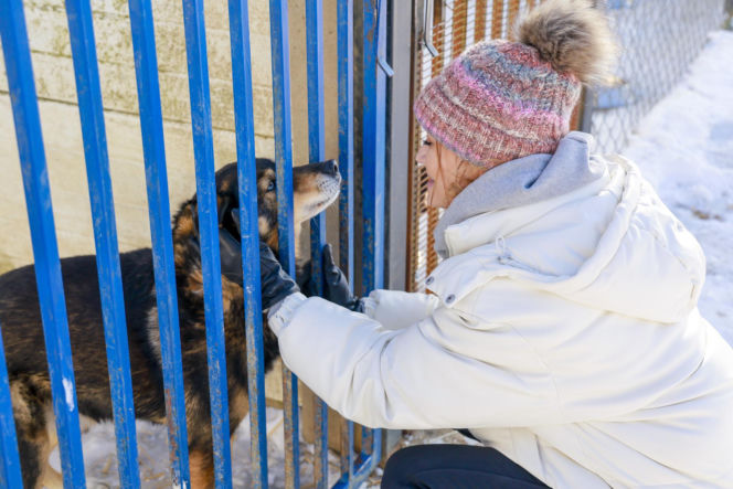 Marta Krupa z pomocą dla zwierząt. Nakarmiła psy i koty w potrzebie