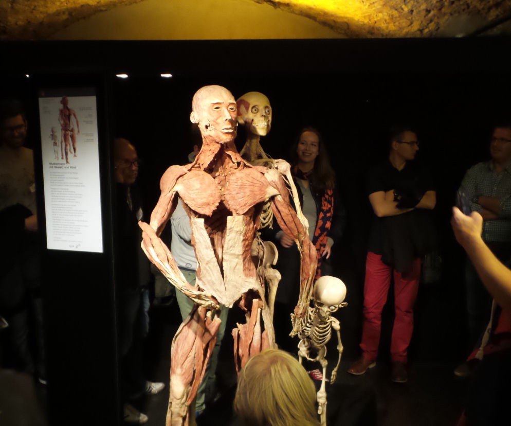 Body Worlds