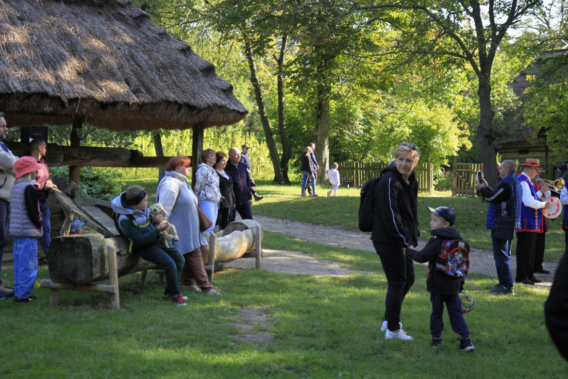 Wykopki kartoflane w lubelskim skansenie