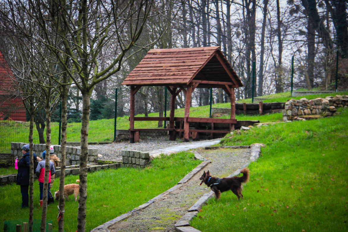 Nowy wybieg dla psów na Szmaragdowym