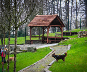 Nowy wybieg dla psów na Szmaragdowym