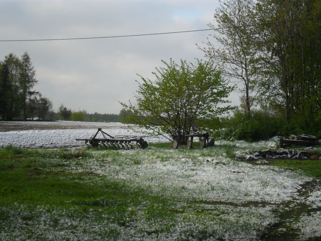 Zima w maju 2011 - zdjęcia Czytelników, Podlasie