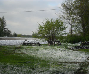 Zima w maju 2011 - zdjęcia Czytelników, Podlasie