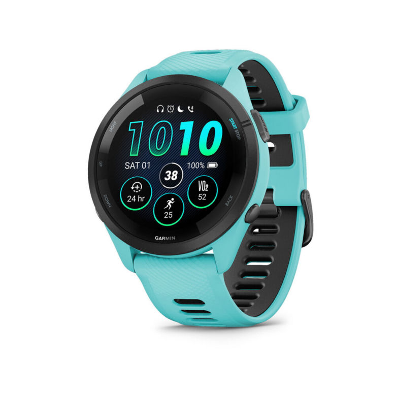 Garmin 265