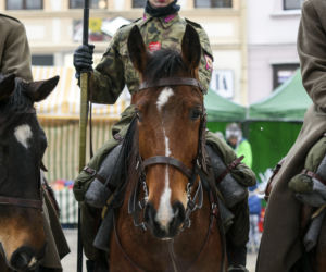WOŚP 2019 w Rzeszowie