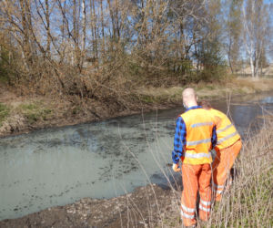 Łódź: Ktoś ZATRUŁ rzekę Olechówkę