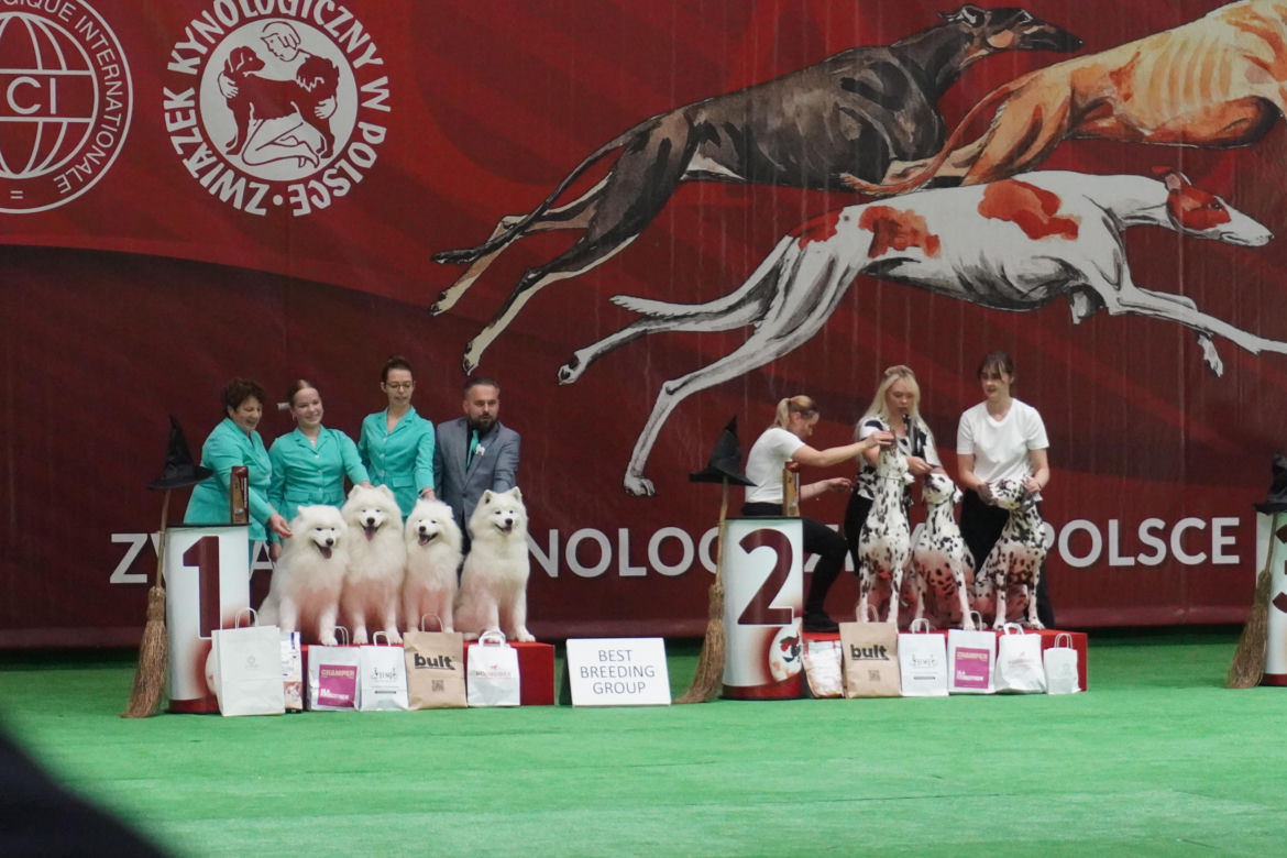 Międzynarodowa Wystawa Psów Rasowych Duo Cacib Kielce 2025