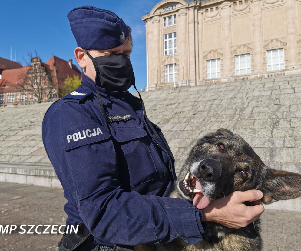 Pies Karzeł uratował desperata