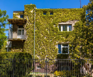 Willa Rakowiczów przy Czarnieckiego 53 w Warszawie