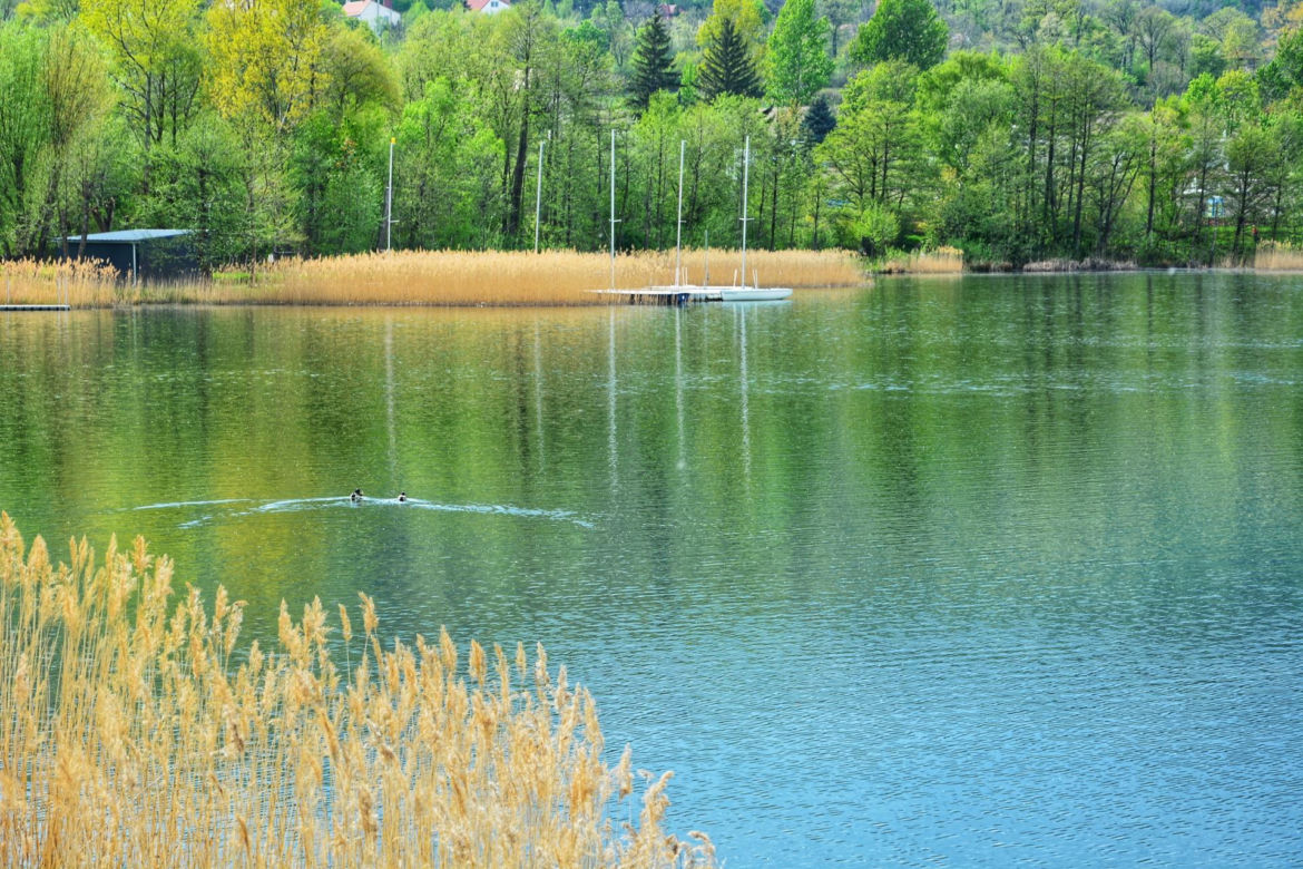 Jezioro Bielawskie