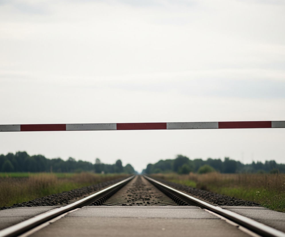 Przedstawiony obraz ukazuje centralnie umieszczony szlaban kolejowy w pozycji zamkniętej, z biało-czerwonymi pasami rozciągającymi się poziomo przez środek kadru. Poniżej szlabanu biegną tory kolejowe, z widoczną asfaltową nawierzchnią między szynami na pierwszym planie, zbiegające się w oddali w kierunku horyzontu. Po obu stronach torów rozciągają się pola pokryte suchą i zieloną trawą, a w tle widać ciemnozielony pas drzew pod jasnym, zachmurzonym niebem. Po prawej stronie szlabanu widać fragment siatkowego ogrodzenia.