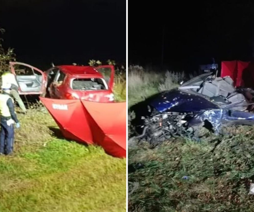 Opatkowice, Gościeradów. Nastolatkowie giną w makabrycznych okolicznościach [ZDJĘCIA]