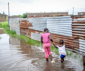 Krokodyle i hipopotamy na ulicach! Władze ostrzegają
